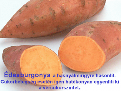 edesburgonya.png