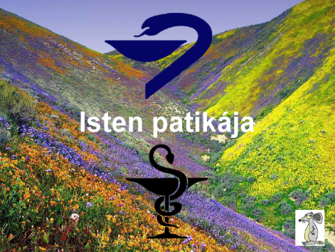 isten_patikaja.png