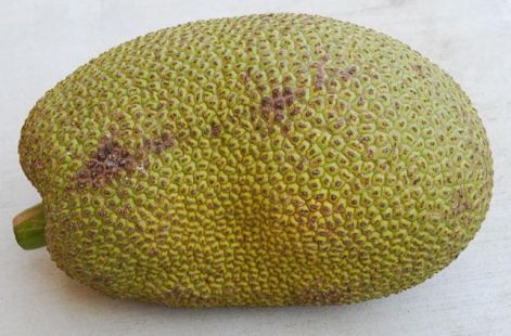 jackfruit4.jpg