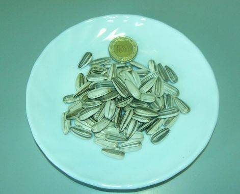 napraforgo-erdelyi_orias.jpg